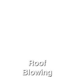 Roof Blowing